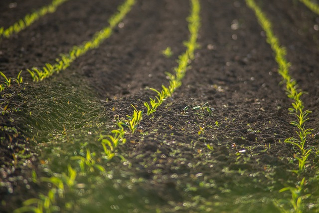 Modern Farming Technology
