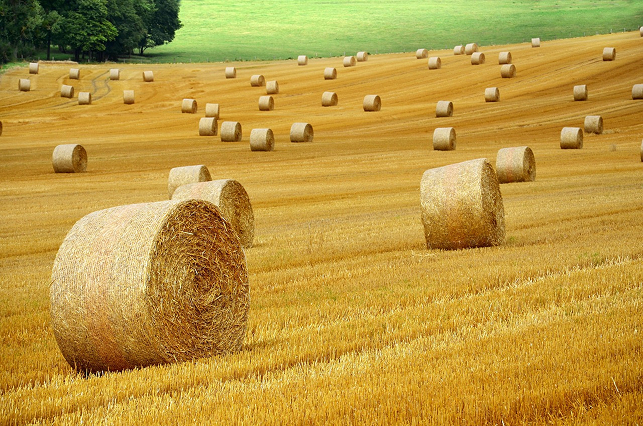Precision Agriculture